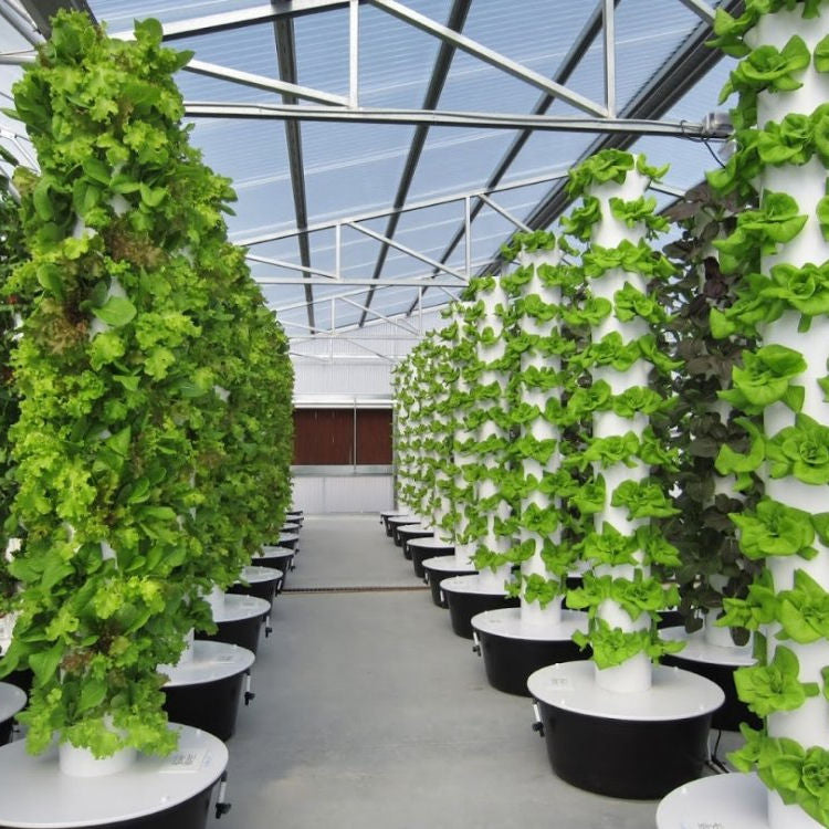 Aeroponics TOwer