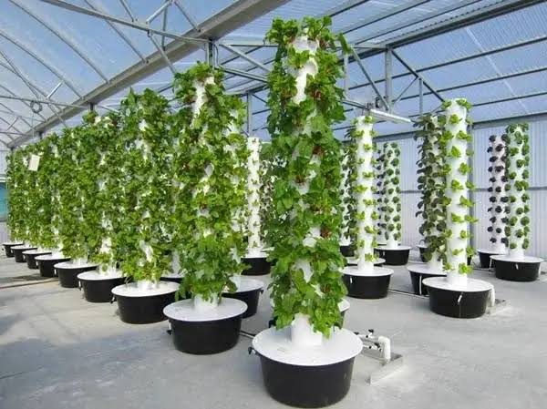 Aeroponics TOwer